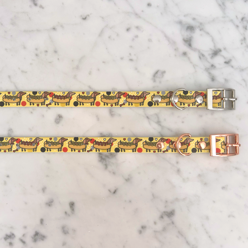 Hot Dog Dachshund Dog Collar