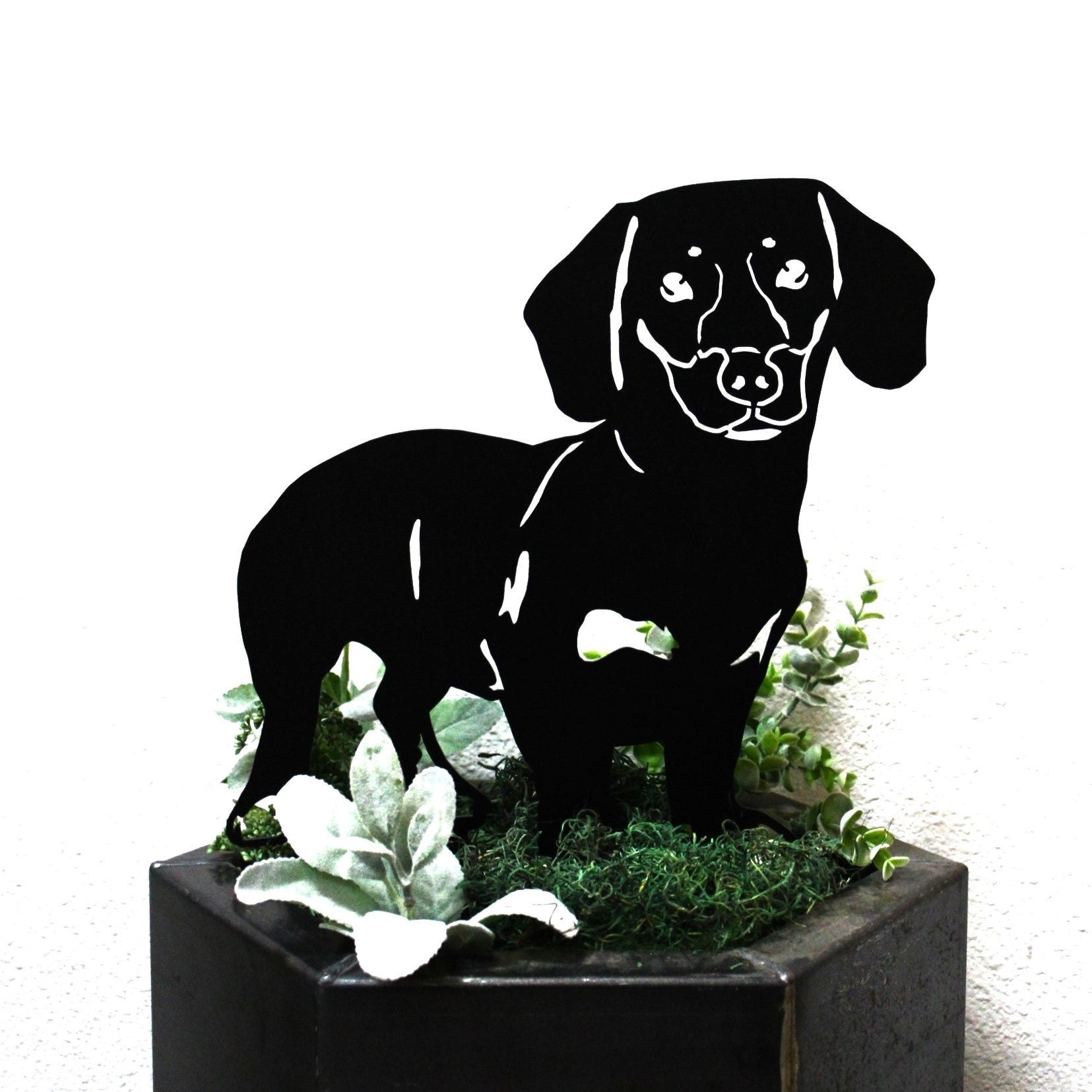 Metal Shorthaired Dachshund Silhouette