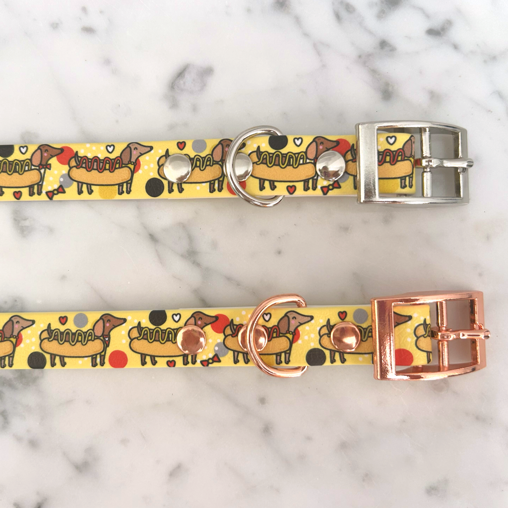 Hot Dog Dachshund Dog Collar