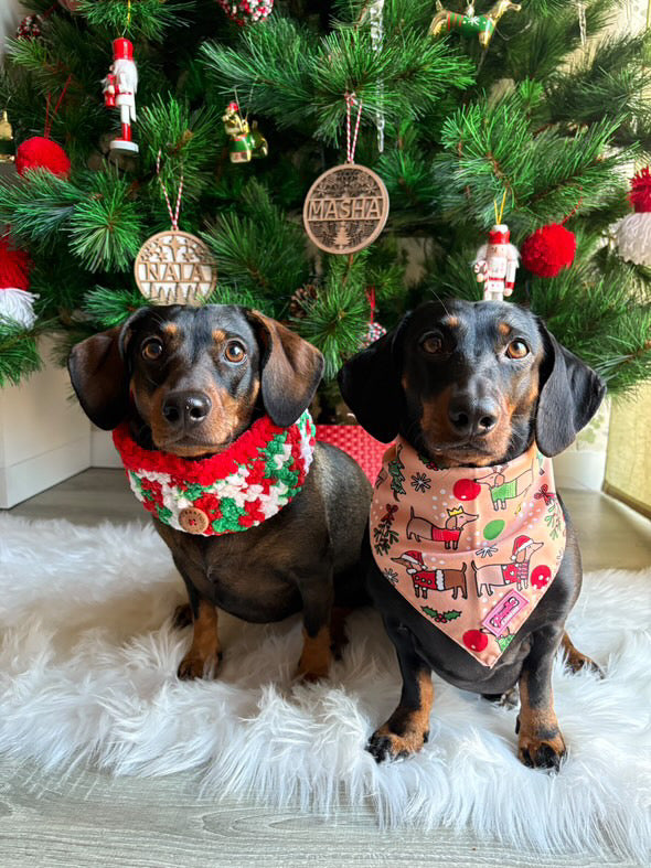 Christmas Dachshund Bandana