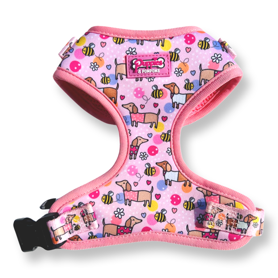 Bee Happy Dachshund Dog Harness