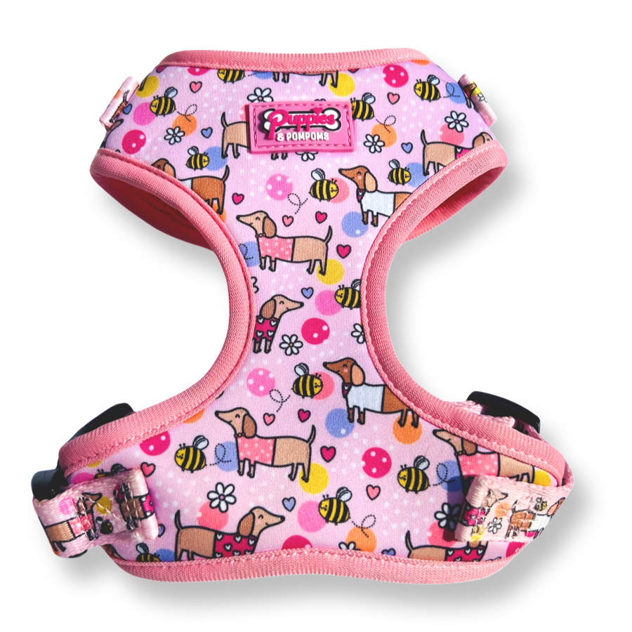 Bee Happy Dachshund Dog Harness