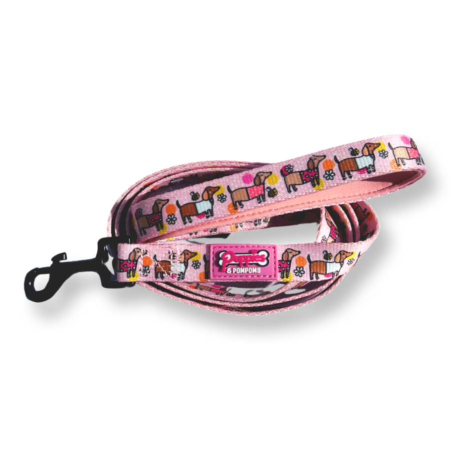 Bee Happy Dachshund Dog Leash