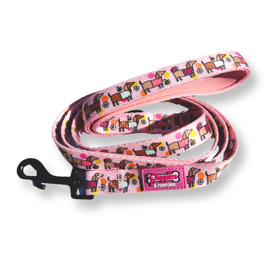 Bee Happy Dachshund Dog Leash