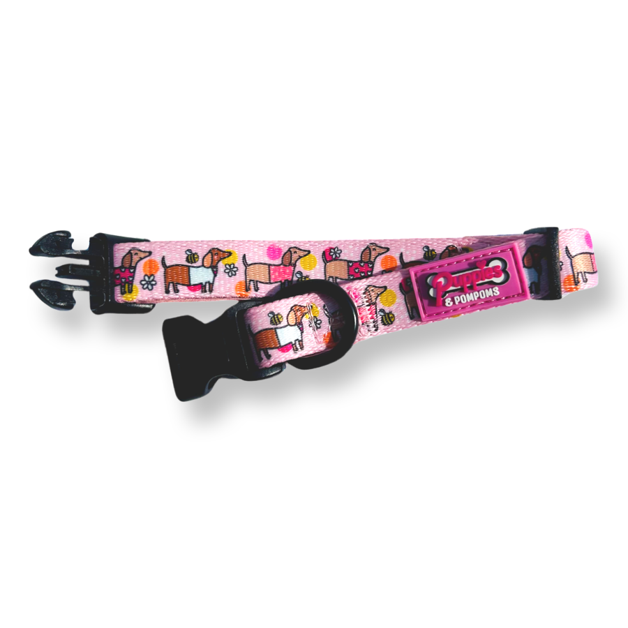 Bee Happy Dachshund Dog Collar