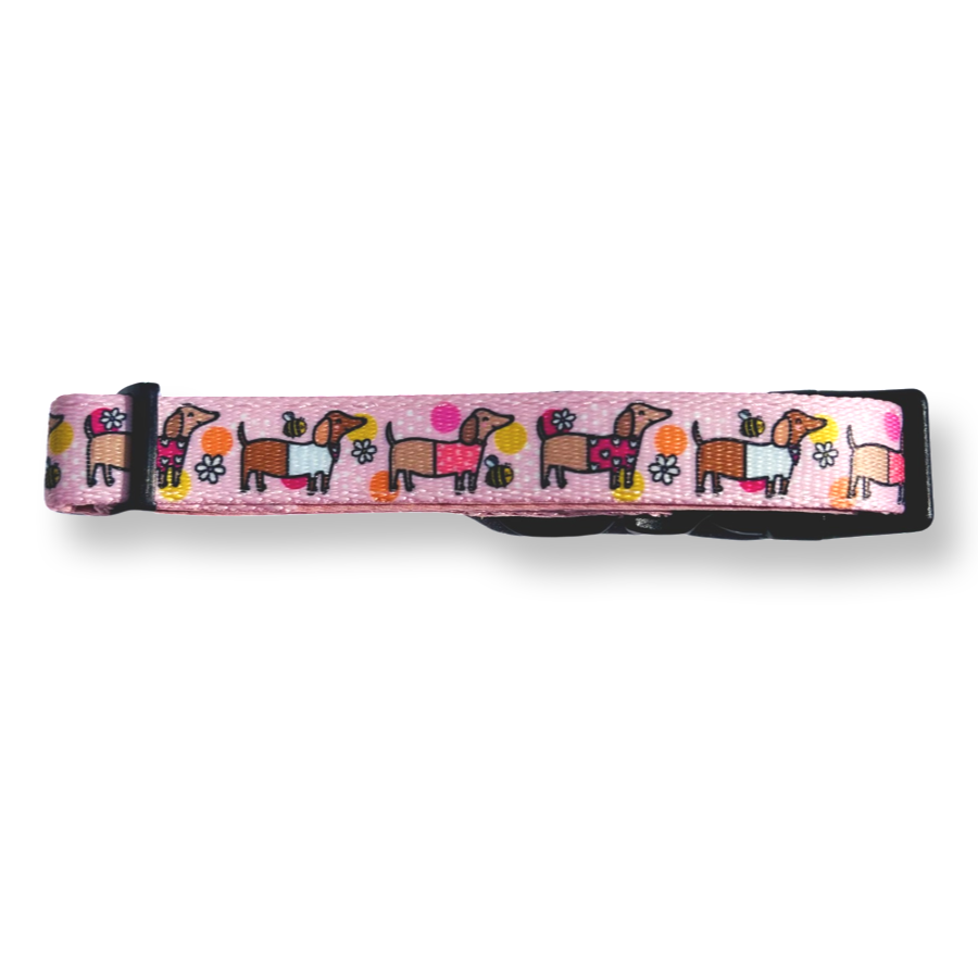 Bee Happy Dachshund Dog Collar