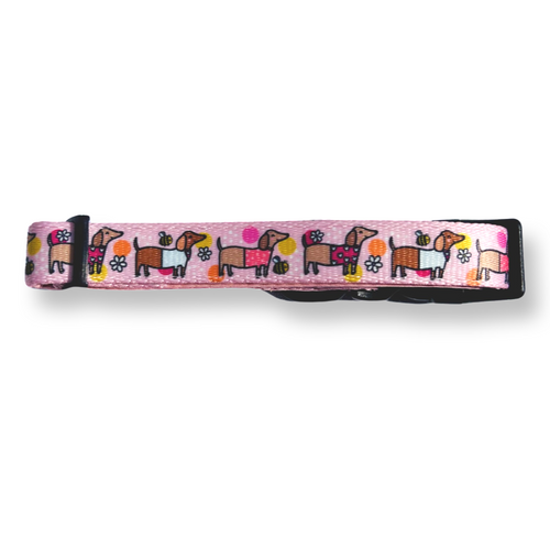 Bee Happy Dachshund Dog Collar