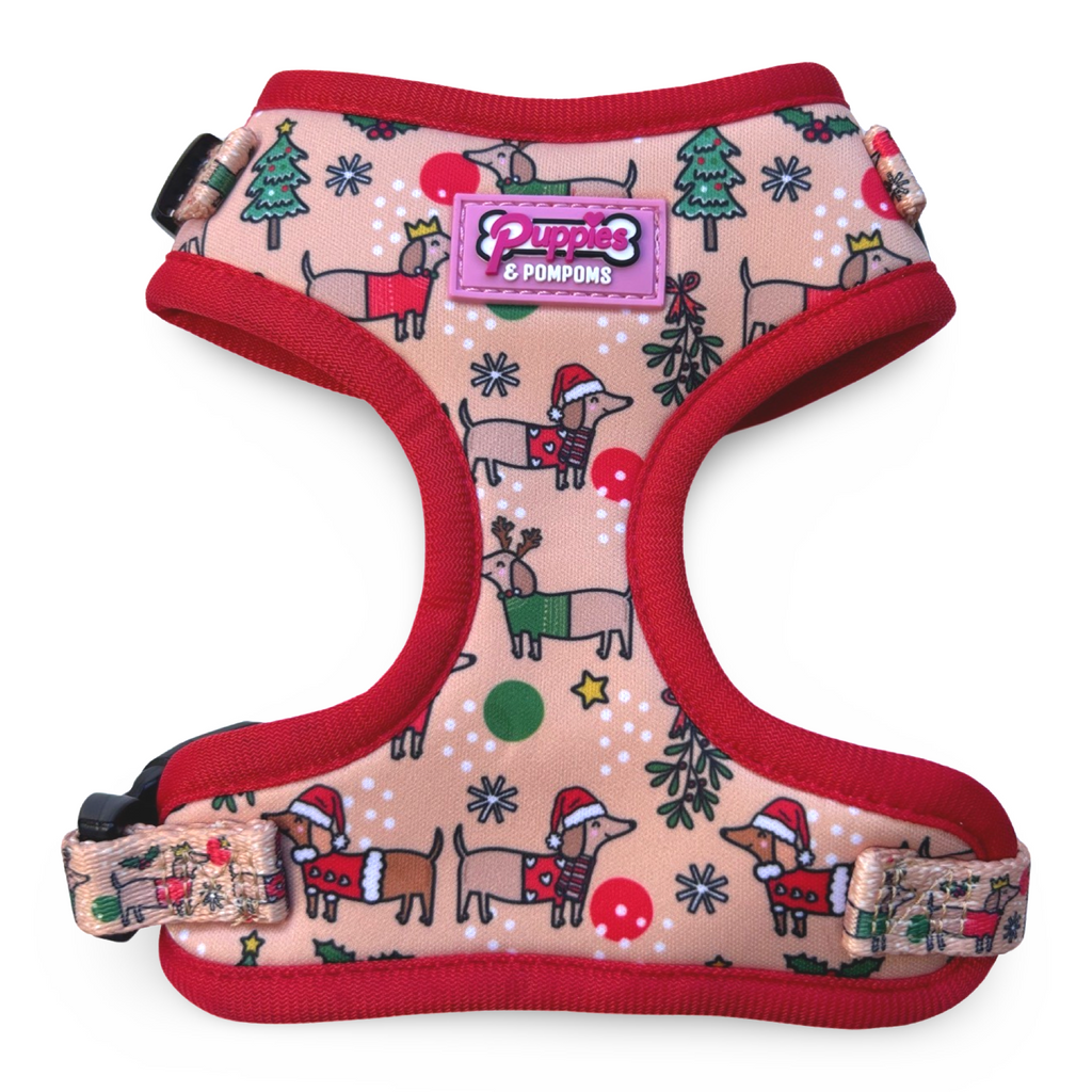Christmas Dachshund Dog Harness