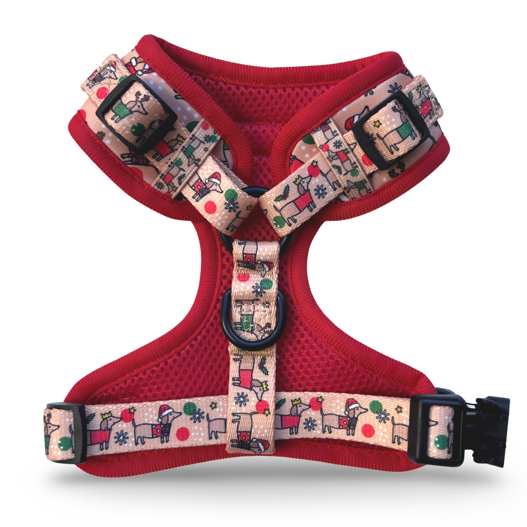 Christmas Dachshund Dog Harness