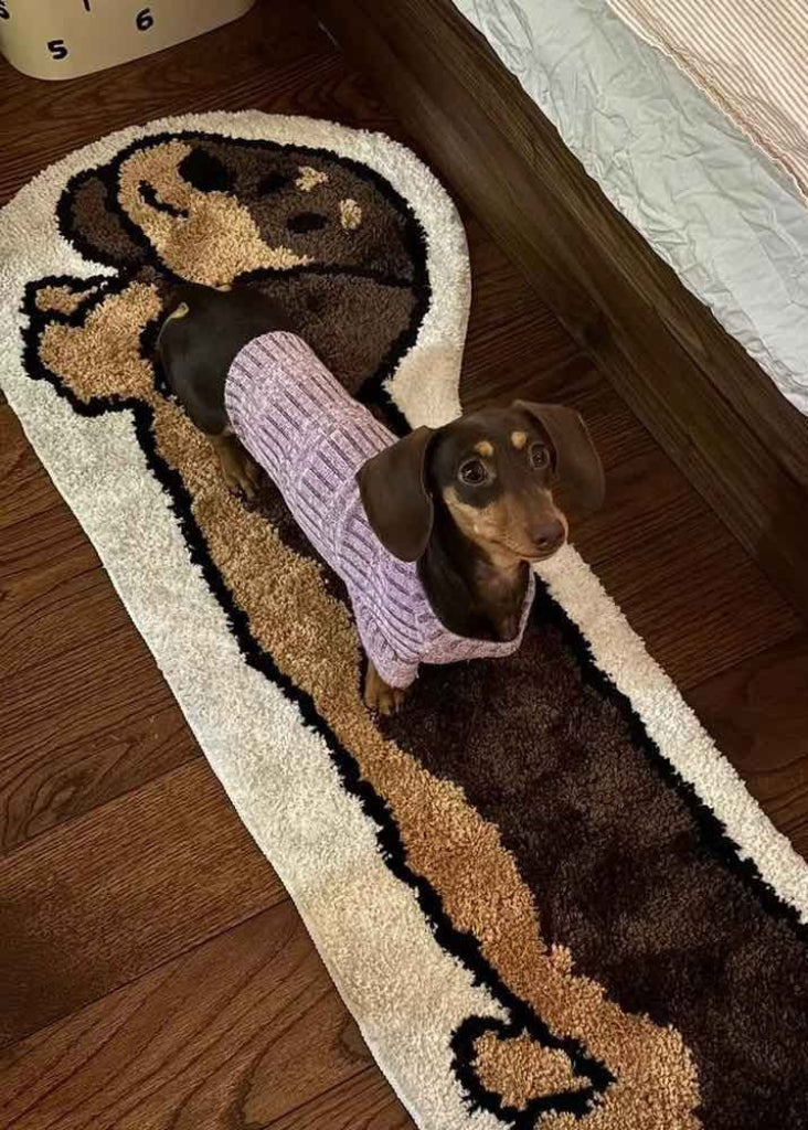 Dachshund Runner Rug